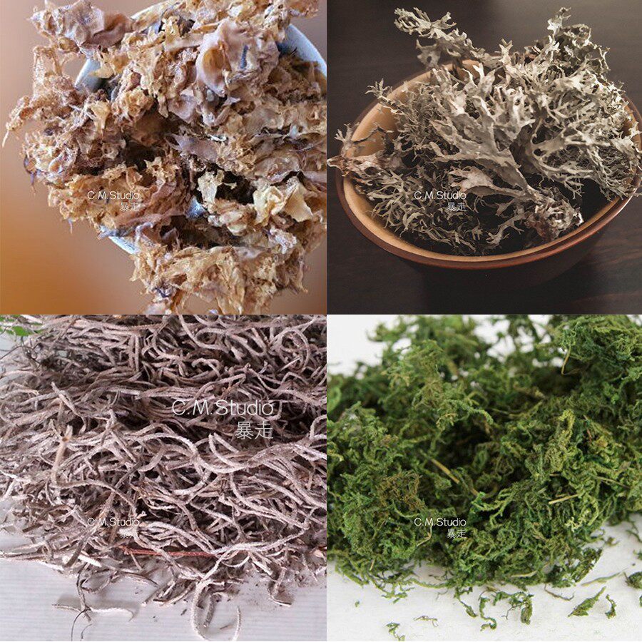 西班牙苔藓 橡木苔 爱尔兰苔 卡拉胶 干草本单方精油 进口 调香酊