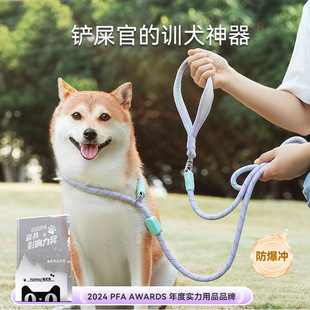 狗狗P绳清新撞色中小型犬外出泰迪比熊金毛大狗防爆冲宠物牵引绳