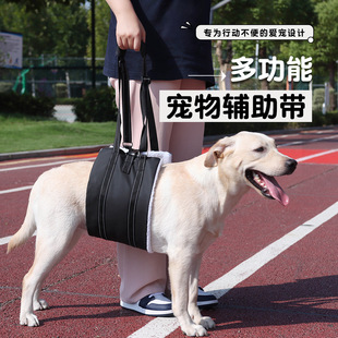 胸背带 宠物辅助胸背带反光狗狗牵引绳辅助出行提拉式