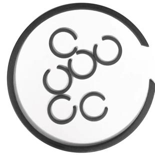 DIN9928孔用压扁钢丝挡圈 M2300 SB无耳孔卡簧 无耳挡圈 BR止动环