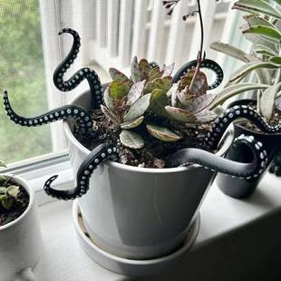 跨境Set of 7 Sea monster Tentacles海怪章鱼触手7件套花盆摆件