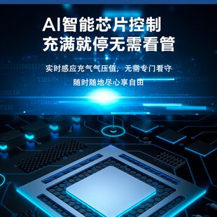 车载充气泵轿车电动车摩车便携式 迷你轮胎压打气筒