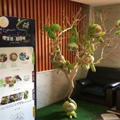 新款 饰枯树造型落地室内干枝创意婚庆橱道具树 去皮干树枝装