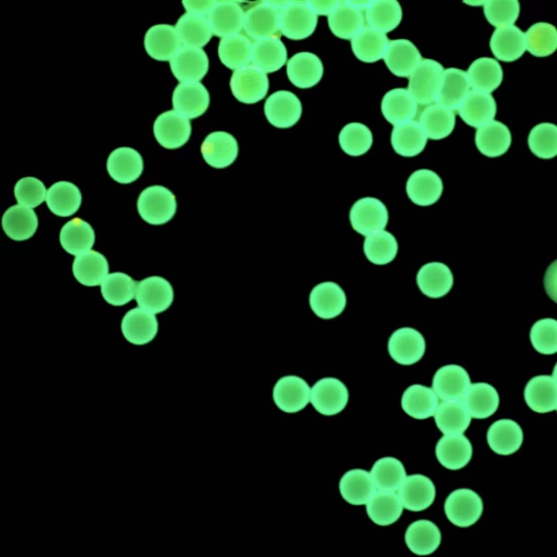 红色/绿色/黄色/蓝色二氧化硅荧光微球  稀土铕 时间分辨荧光微球