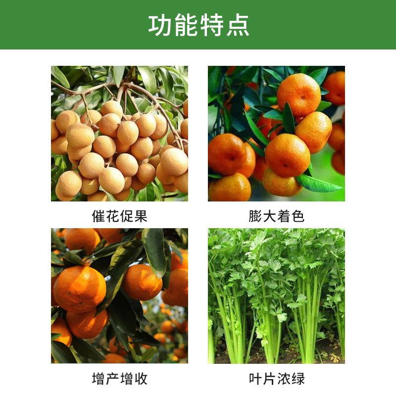 锌硼钙铁果树叶面肥微量元素水溶肥柑橘肥通用