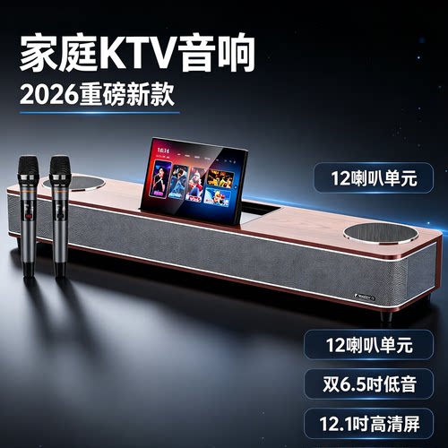 山水旗舰家庭影院K歌音响