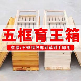 1.1厚5框蜂箱全套一整套标准蜜蜂箱五框中蜂育王峰箱养蜂蜂箱 广式