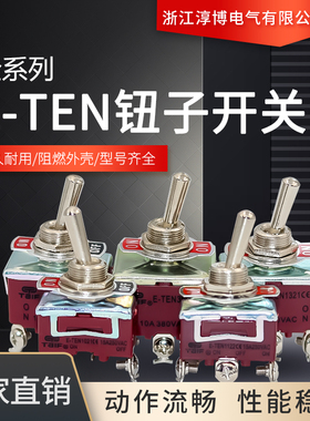 泰孚开关摇头开关E-TEN纽子拨动纽子摇臂1021/1322扭子1121/1221