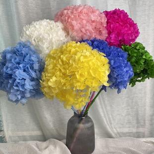 云南花者永生花大叶绣球单支家居装 绣球干花花束多色 饰摆件