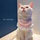 宠物口水巾猫饭兜狗围脖口水巾宠物口水兜抱猫围兜宠物衣服狗围脖