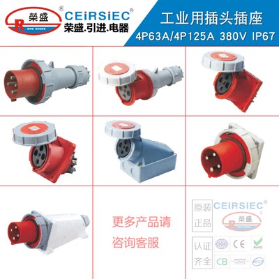 CEIRSIEC三相四极防水插头插座3P+E 4芯63A航空插头RS0342/RS2342