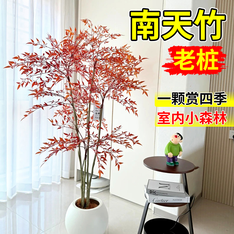 潮流精品,品质保证