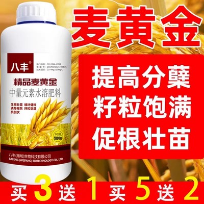 麦黄金水溶肥小麦高产专用肥叶面肥小麦增产麦黄金分蘖宝套餐正品