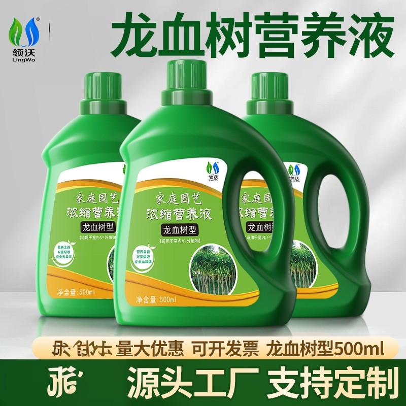 领沃营养液龙血树肥料龙须树室内花卉绿植室内养护滋养