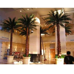 仿真棕榈树 人造玻璃钢仿真梧桐树 写字楼布景仿真梧桐树