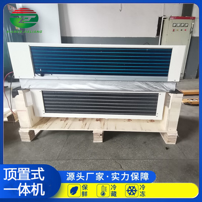 Roof Monoblock Unit保鲜冷藏库制冷机组3HP制冷一体机