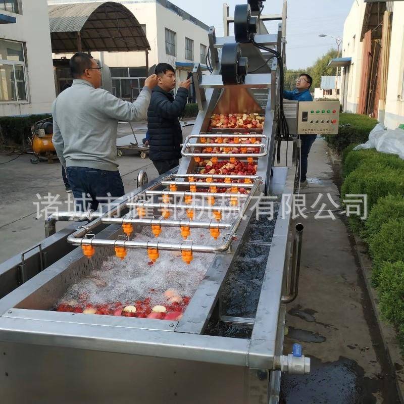 大型全自动水果清洗机 工业喷淋苹果洗果机 草莓蓝莓气泡清洗机