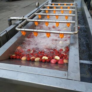 工业化全自动苹果清洗风干设备 山楂清洗机 大型苹果清洗风干机器