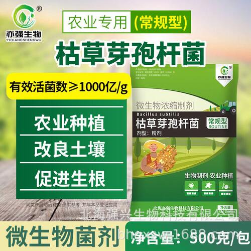 常规枯草芽孢杆菌种植烂根青枯稻瘟农业种植菌种 500克