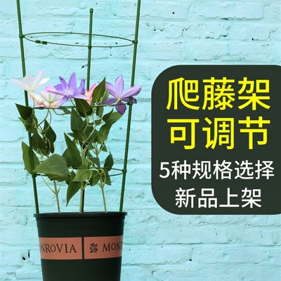 三角梅爬藤架固定器阳台花架造型支架铁线莲山乌龟三角梅造型支架