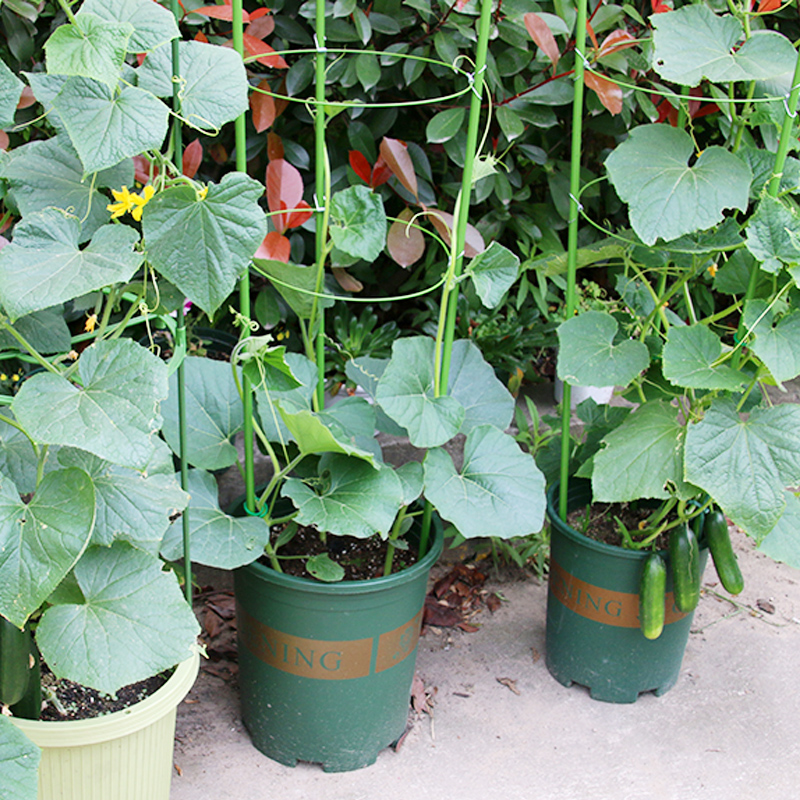 爬藤架子花支架盆栽花盆攀爬花架爬藤架家用绿植月季蔷薇铁线莲架