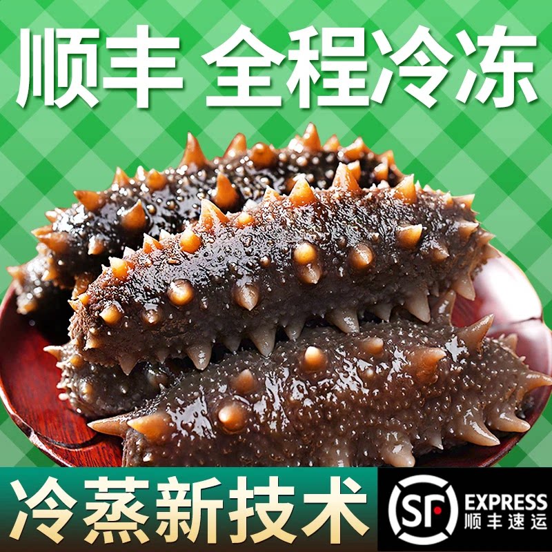 z【适中口感】冷蒸即食海参新滕海参