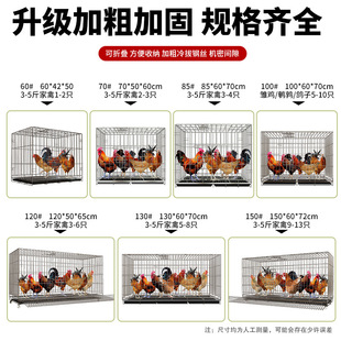 鸡笼家用大号特大蛋鸡笼鸡笼子家用养殖笼自动清粪鸡舍折叠笼狗笼