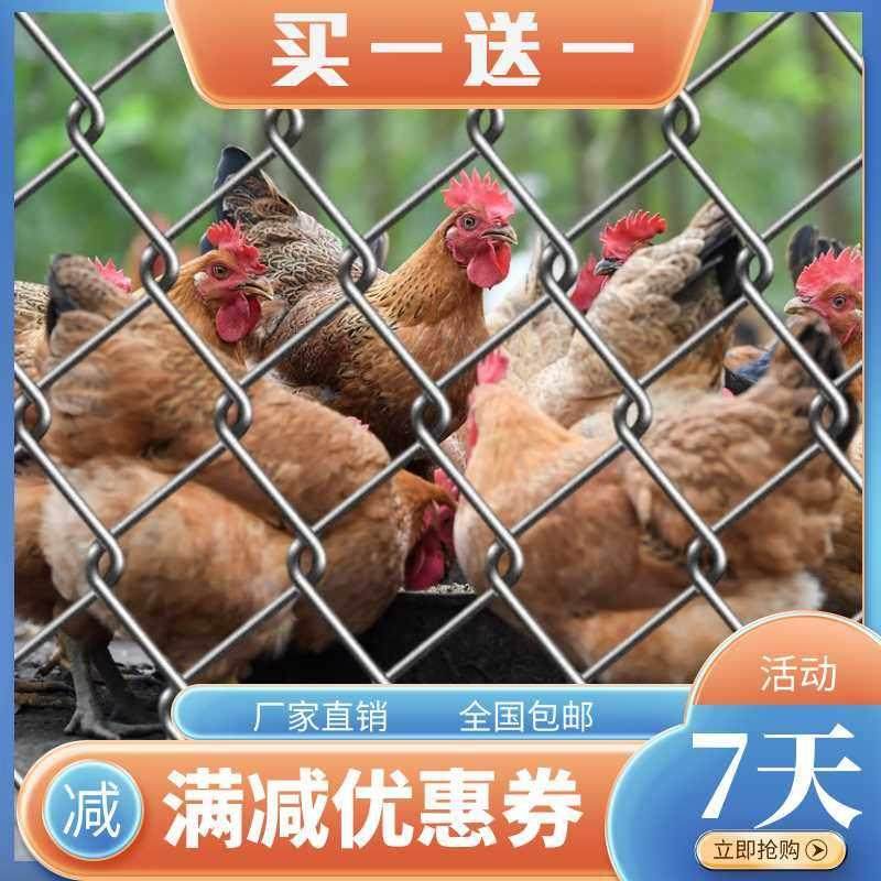 镀锌铁丝b网围栏养殖钢丝网加粗超硬勾花网圈牛羊拦鸡网铁网格装