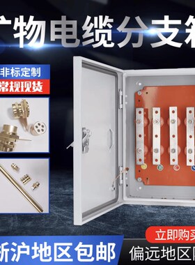 BTTZ矿物质电缆T接箱绝缘电缆分支E箱铜排T接转换箱接线端子分流