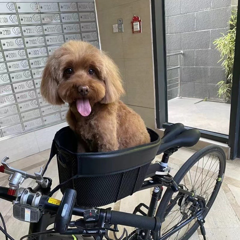 宠物自行车座椅自行车狗狗座椅自行车宠物座N椅自行车狗座椅前置