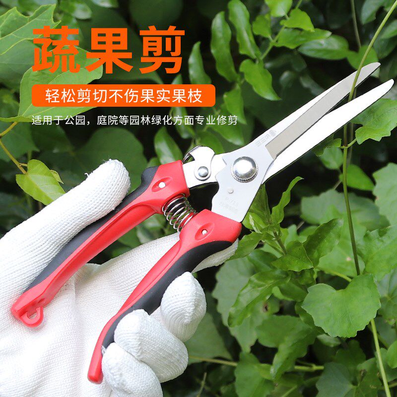 园艺修枝剪直嘴剪插花剪刀采摘果剪稀果整枝剪疏花剪果树剪盆景剪
