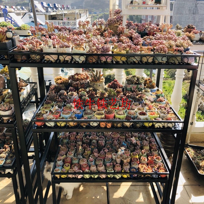 阳台可伸缩移动多层多肉专用花架 室外室内O落地带轮铁艺花盆架子图片
