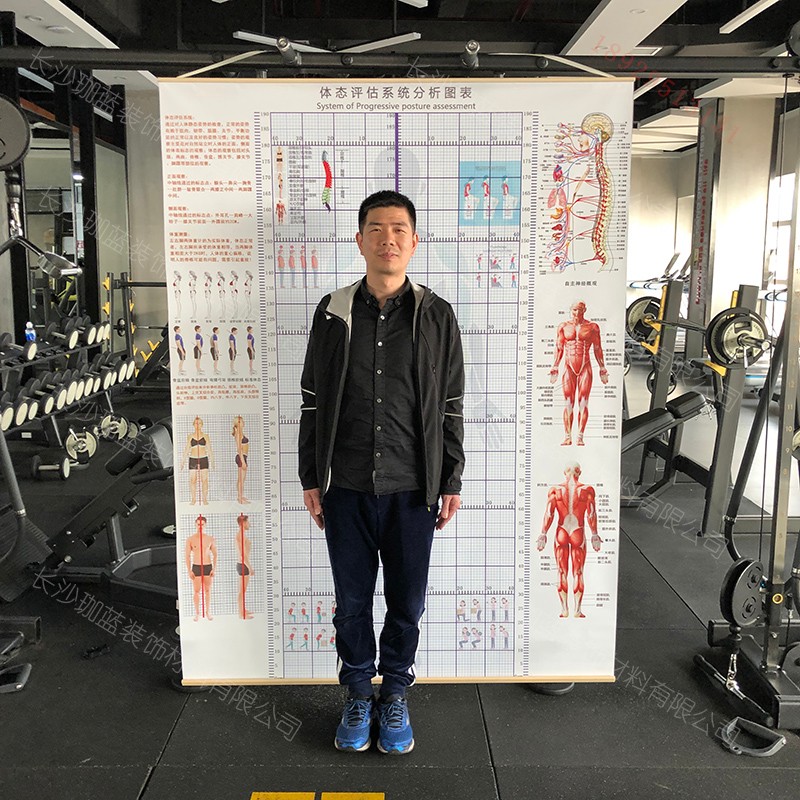 体姿体态评估表站姿势网格体测z壁挂画瑜伽身体评估墙健身房体位