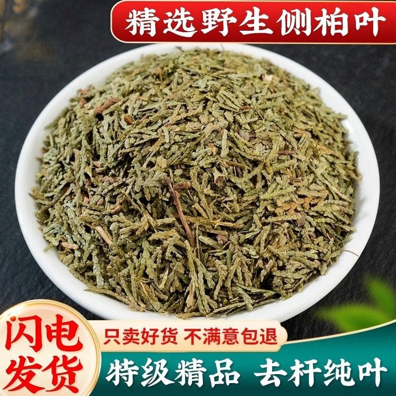 山东野生侧柏叶500克中药材柏树叶柏叶洗发水生发增发桑叶乌黑发