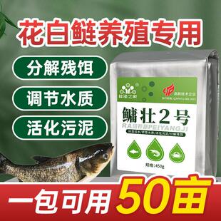 鳙壮2号花白鲢速长肥鲢鳙大头鱼肥水宝池塘鱼塘肥水膏肥水产品