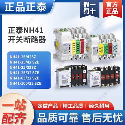 正泰PC级4智能双电源自动2P转换开关断路器NH41-25/42SZ二极四相