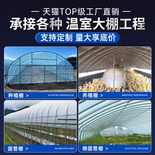 椭圆大棚骨架钢管温室支架拱杆养殖种植棚蔬菜大棚热镀锌全