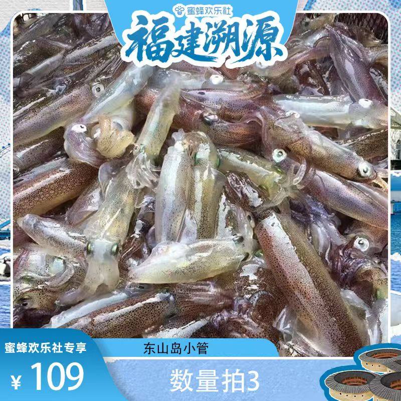 【福建溯源专场】东山鲜冻小管400g/盒15-20只