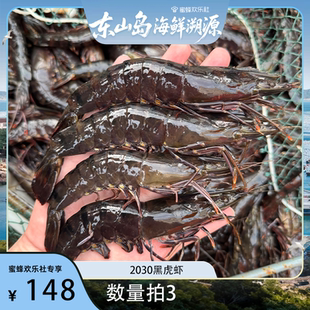 【福建溯源专场】数量拍3！活冻黑虎虾2030规格 500g/盒