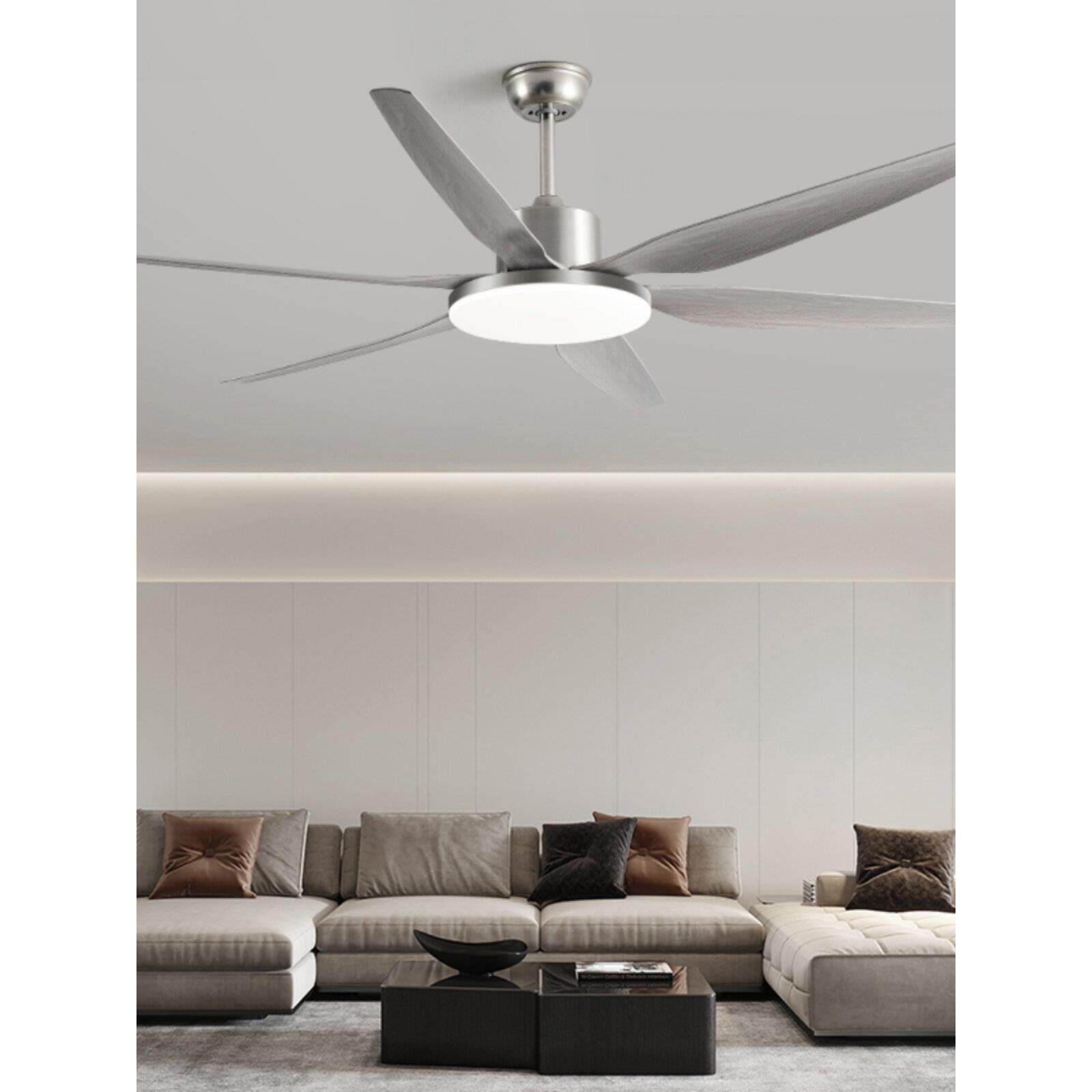 风扇灯吊扇灯客厅餐厅2025年新款现代简约大尺寸家用变频灯扇一体