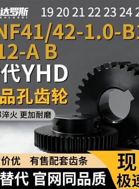 齿轮VNF41/42-1.0-19 20 21 22 23 24 25-B10 B12-A B-P8N P10N