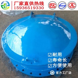不锈钢拍门 污水拍门 水处理阀 铸铁拍门 厂家直销 铸铁拍门阀