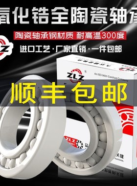氧化锆全陶瓷轴承 品质保障 6807CE 6808CE 6809CE