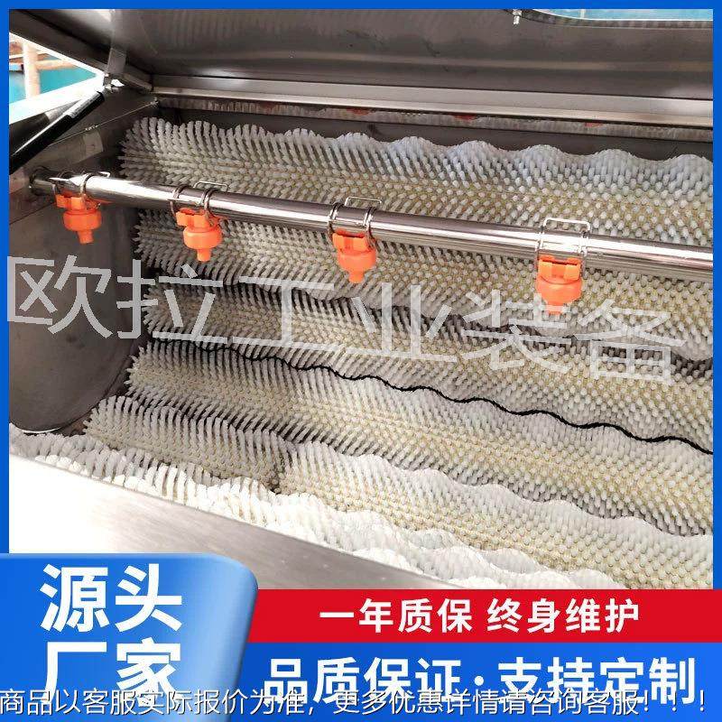 全动生姜清洗皮设备 自果SVV毛刷清洗机 马铃薯去蔬皮清去洗机,清洗/食品/商业设备,肉制品加工设备,淘宝优惠券,粉丝福利购,淘宝优惠卷