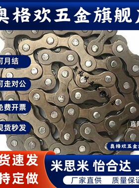 链条VMB/VMC/VMD/VMF/VMG/VMK/VML/VMN01-25/35/40/50/60/80/100