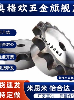 SP50B/ssp40B/BSP60B链轮C-SPB08B/06B/05B/SPA35B-20-40/08B/19