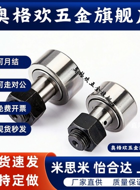 代替BPY41-d5 6 8 10-D13 16 19 22 26 包胶凸轮轴承随动器