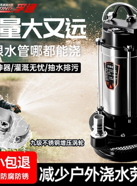 不锈钢潜水泵220v家用小型高扬程井水抽水泵农用灌溉排污水泵