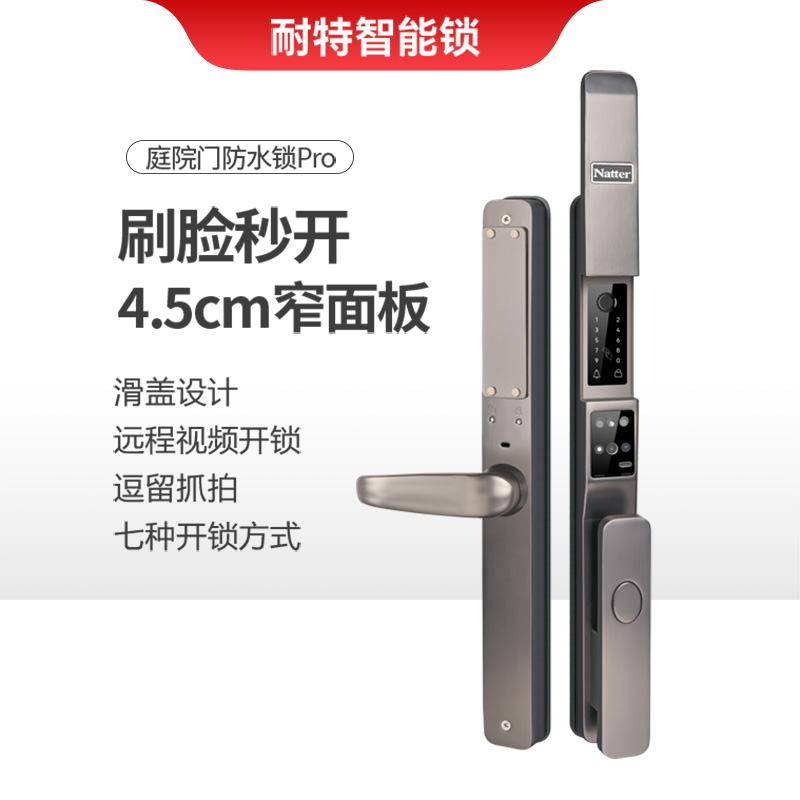 耐特庭院门防水锁刷脸锁远程开锁