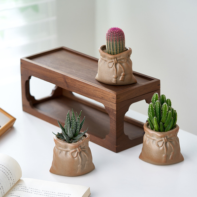 多肉植物组合盆栽北欧风仙人掌